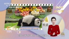仙踪林毛片